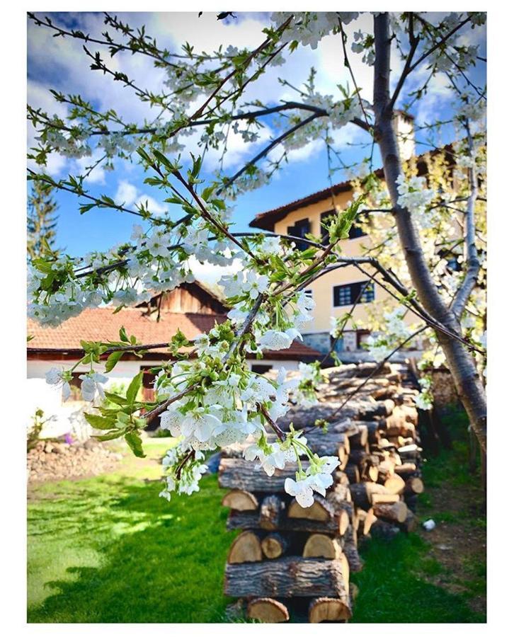 Bobi Guest House Koprivshtitsa Buitenkant foto